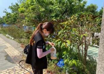 校園登革熱防疫 教育局全力協助學校並強調作業安全