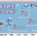 墾丁海域海豚出沒 海保署:勿觸摸或追逐以免觸法
