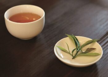 國際茶博會11/17-20南港展覽館登場 竹縣邀民眾一起「茶言觀色」