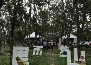 林後四林里山市集Part-II，將在本週登場