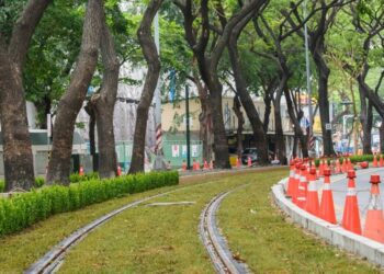輕軌路廊添綠意  11/18進入雨豆樹路段試車