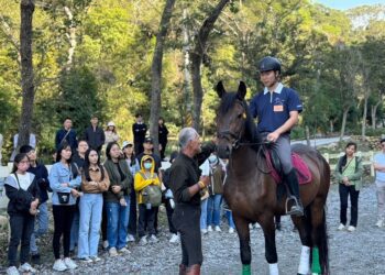 藍忠雄指導亞洲大學學生照顧馬匹與安全騎乘