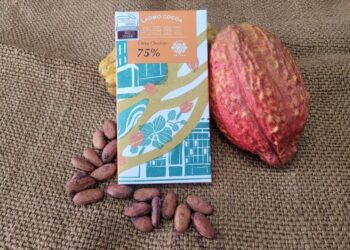 屏東可可巧克力2023 ICA世界總決賽 延續佳績