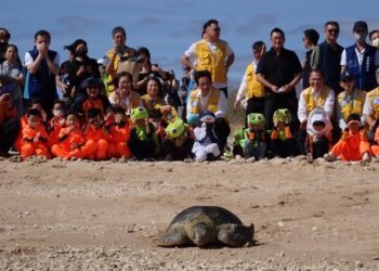 海保救援網MARN新氣象 鯨豚海龜有保障