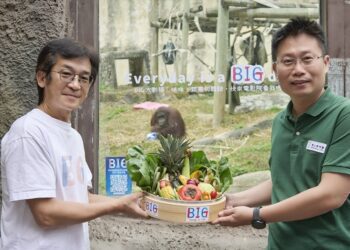 魏導《BIG》熱映中 壽山動物園紅毛猩猩首次躍上大銀幕