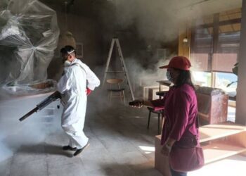 台南登革熱第二型病例源自高雄