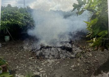 空品不良季節環保局加強露天燃燒取締且依法加重處分