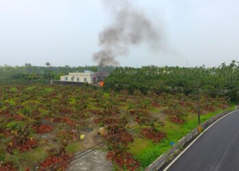 竹筍變貴，種植變少，修枝禁止焚燒的後續現象