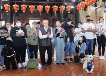 來嘉必訪寵物友善廟宇+1！城隍廟首開「寵物光明燈」豹紋守宮、蜘蛛也來祈求平安健康得人疼