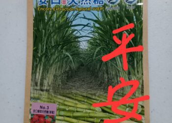 如何避免人工糖的誘惑呢？天然糖可以考慮