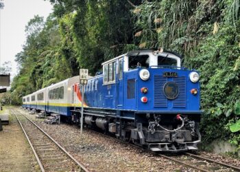 阿里山林鐵改裝車廂 《栩悅號》另類登場