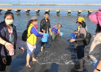 明年1月起 水產動物海域放流需由符合規定權責人員執行！