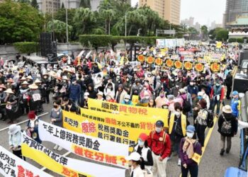 青年淪為躺平族！專家凱道上呼籲人民要覺醒