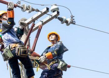 台電2024僱員招考簡章今公告 破千名額1/2開放報考