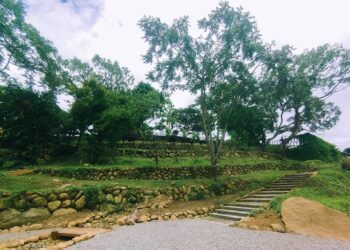 大自然就是我的教室 華南社區校園無邊界 里山和諧自然公園獲金質榮耀