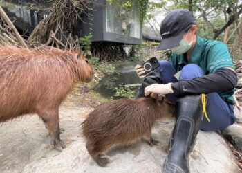 歷經兩年努力 壽山動物園保育員待遇明年元旦起調升