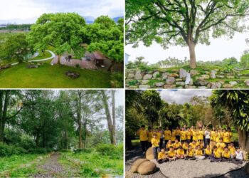 金牌農村珠仔山社區添金質榮耀 老樹生態園區友善改造 人與自然共譜長青永續新願景