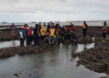 中油：並無柴山多杯孔珊瑚面積縮小之趨勢 實地生態調查採取國際最新影像辨識 歡迎環保團體共同參與調查