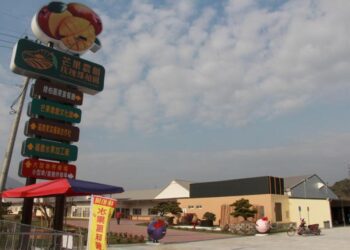 台南楠西梅嶺梅花開6日啟動接駁