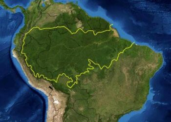 亞馬孫雨林去年砍伐面積年減5成 為過去5年來最低