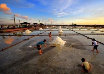 台南獲CNN評為2024最佳參訪地