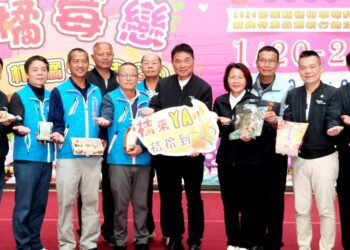 苗縣獅潭鄉「橘莓戀」20日起登場 　體驗採果及手作酸柑茶樂趣