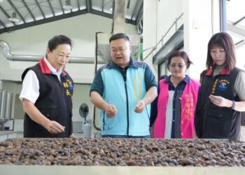 花蓮縣府打造花蓮綠金產業 從生產到加工 攜手卓溪鄉公所、玉溪地區農會完善油茶產業鏈