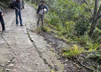 蓬萊林道進行路面改善 延長交通管制期程至2月14日