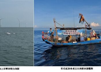 海保署連結在地漁民 共同守護白海豚