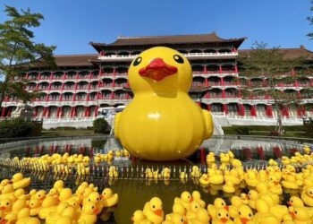 圓山鴨．龍重登場 新年走春．歡迎來～圓山賞鴨、吃鴨、來「紓鴨」