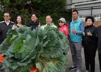 2024我尚重、大、水 澎湖新高麗菜王比賽熱鬧登場 陳光復到場加油打氣