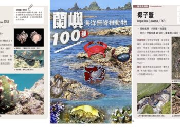 百種蘭嶼海洋無脊椎動物新書上市囉！