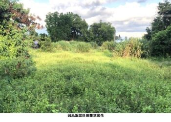 覬覦祭祀公業土地 最高法院明察秋毫