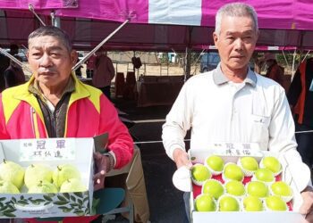 燕巢芭棗王出爐！113年度燕巢區農會番石榴、蜜棗品質評鑑競賽揭曉