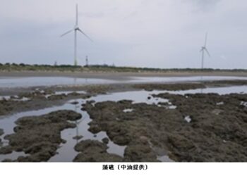 中油：三接海域於工程前就存在漂沙現象 柴山多杯孔珊瑚面積也未有縮小趨勢