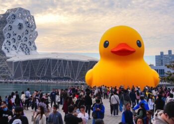 兩天破60萬人朝聖  高雄冬日遊樂園賞鴨爆人潮