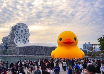 漾新聞|五個觀賞黃色小鴨最佳照點！觀光局稱開幕兩天吸引60萬人參觀