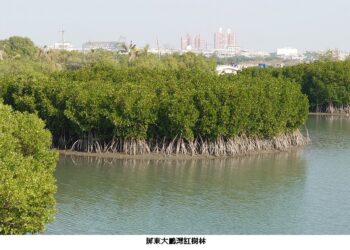 購買藍碳碳權，企業高度意願   海委會已完成「藍碳方法學」