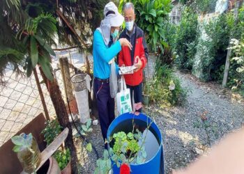 年節將至 請民眾落實清除孳生源 平安過年