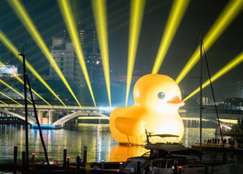 漾新聞|高流迎小鴨「金呱閃閃」燈光展演璀璨光影綿延亞灣