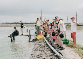 放假揪團玩海趣 一日漁夫體驗 勞動部培力高屏漁村展魅力