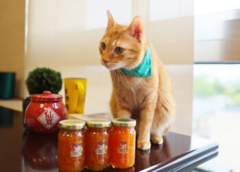 高捷打造特色伴手禮搶攻年節送禮市場  農曆年節將至高捷運輸規劃升級