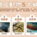 海保署:北部海域新發現9種棘皮動物