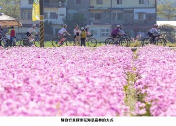 東高雄新春遊程大公開  山城花語蝶飛揚 溫泉美食幸福遊