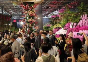 台南元宵佳節活動連連經濟產值估逾78億