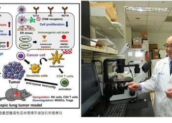 台南成大團隊奈米技術改腫瘤環境提藥物抗癌效果