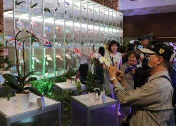 世界蘭花會議今閉幕預告明年亞太蘭展於台南登場