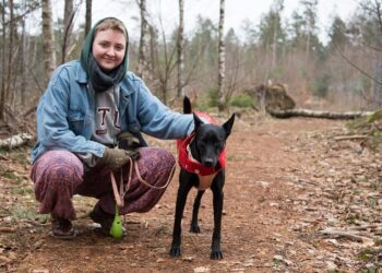 新北動保處推跨國認養 臺灣小黑跨海萬里德國報平安