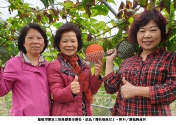 義竹鄉龍蛟潭村的鄭家「鄰長姊妹花」