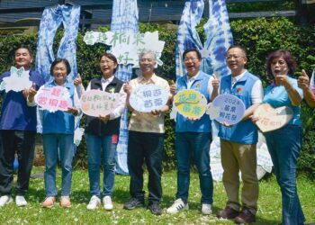 2024桐花祭「藝起桐樂、美好薑來」 大湖薑麻園浪漫登場